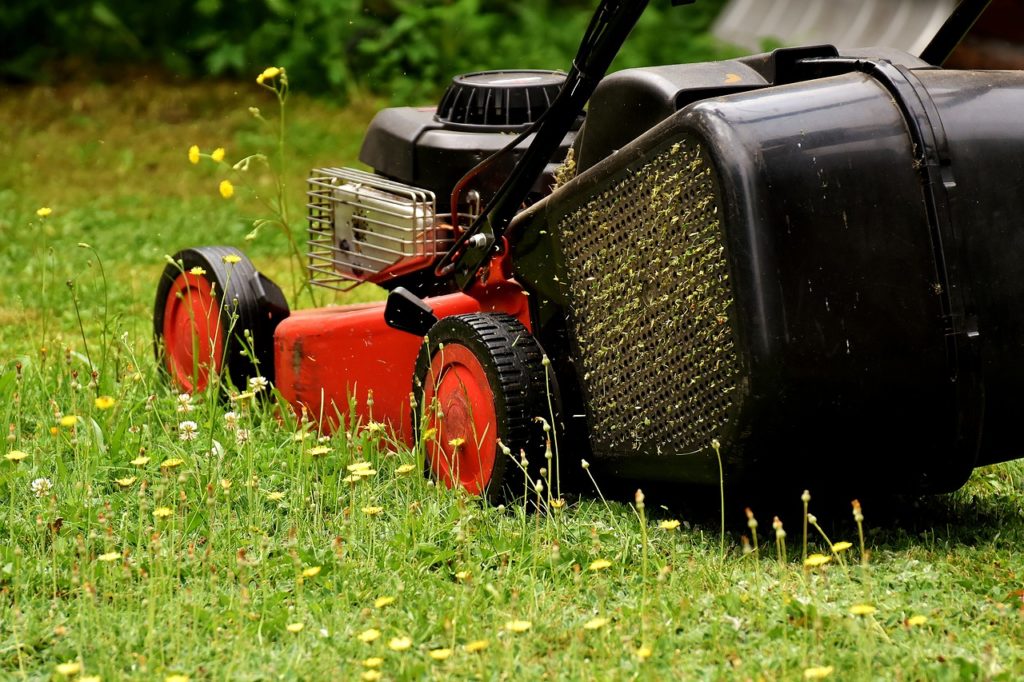 mowing the weeds for our children